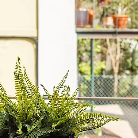 Apartamento Real Lisboa